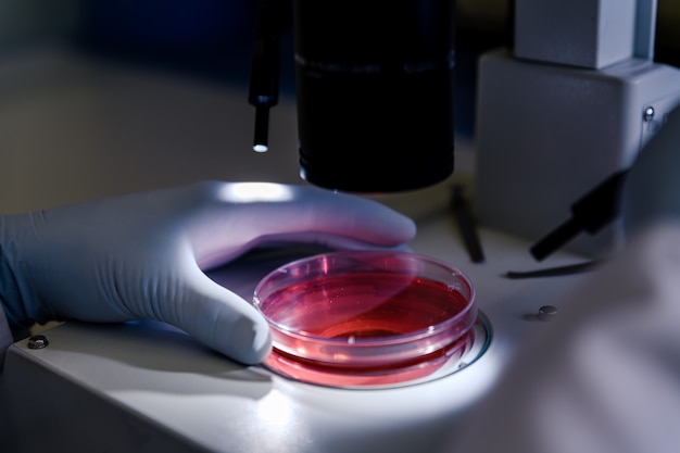 Exploring the Role of Antibodies in Cutting-Edge Research